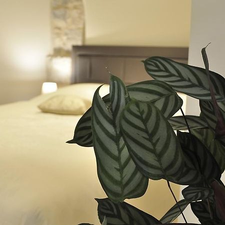 Villa Stagnja Split Bagian luar foto
