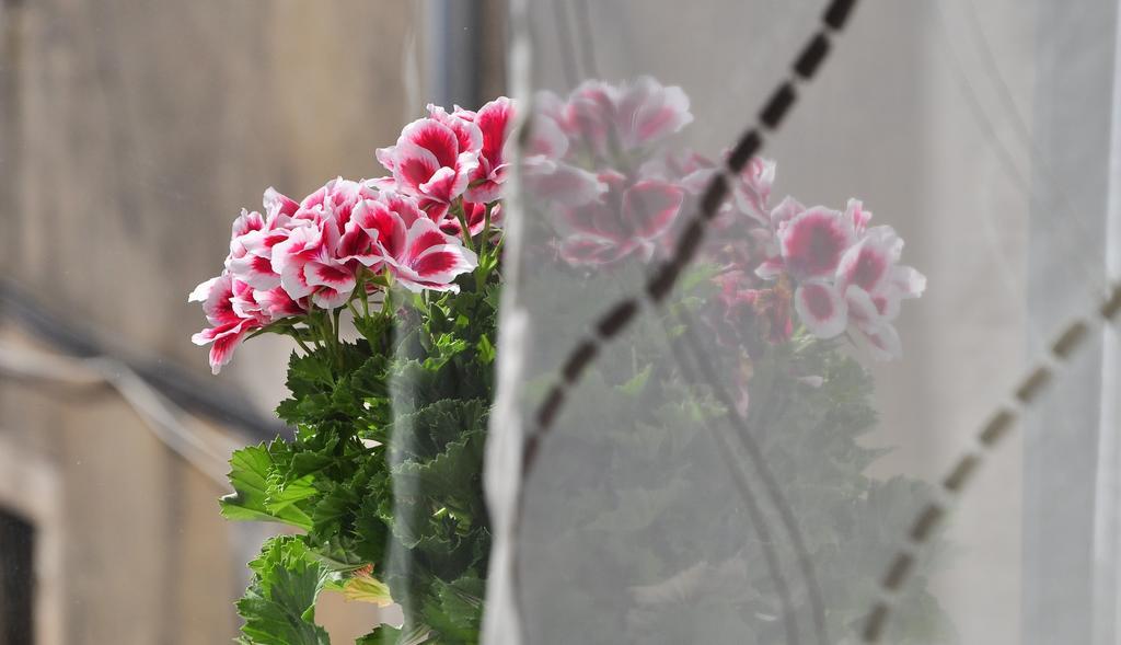 Villa Stagnja Split Ruang foto